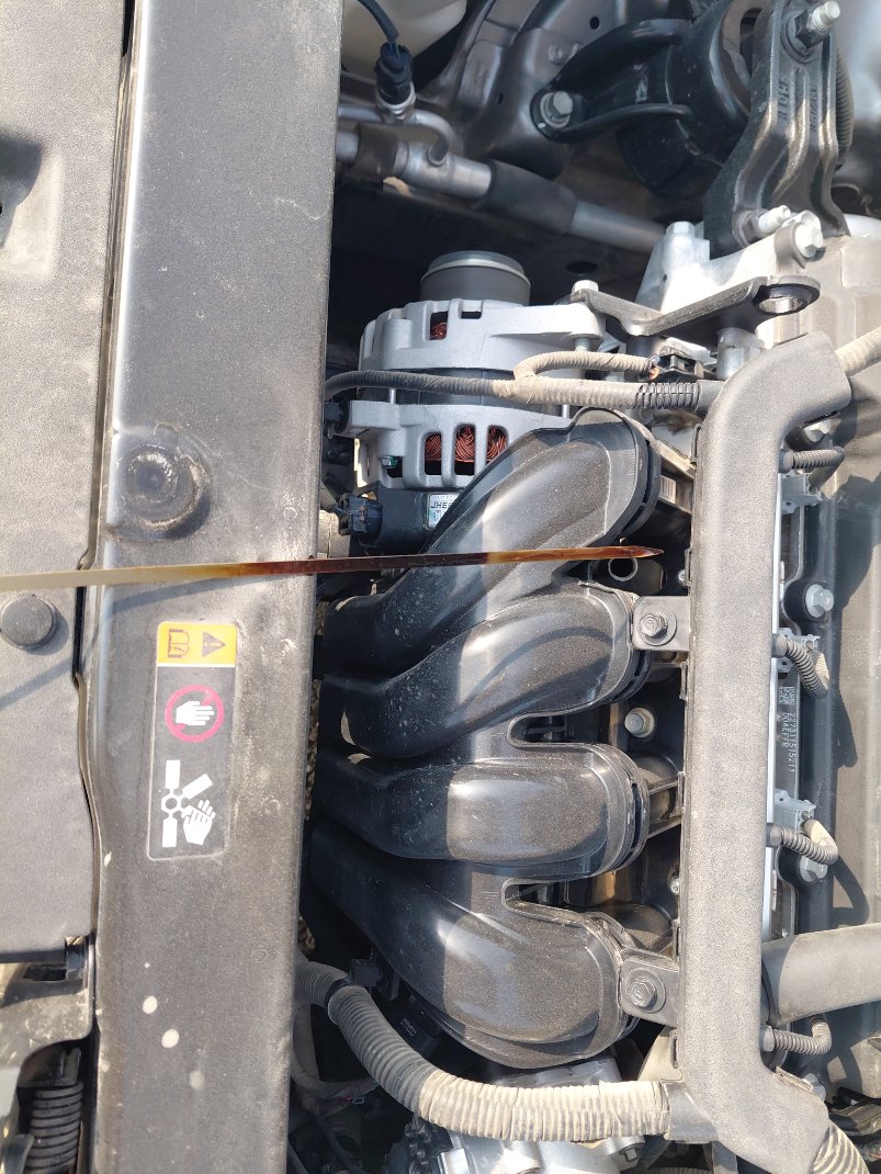 KIA Pegas GLS 2024 image