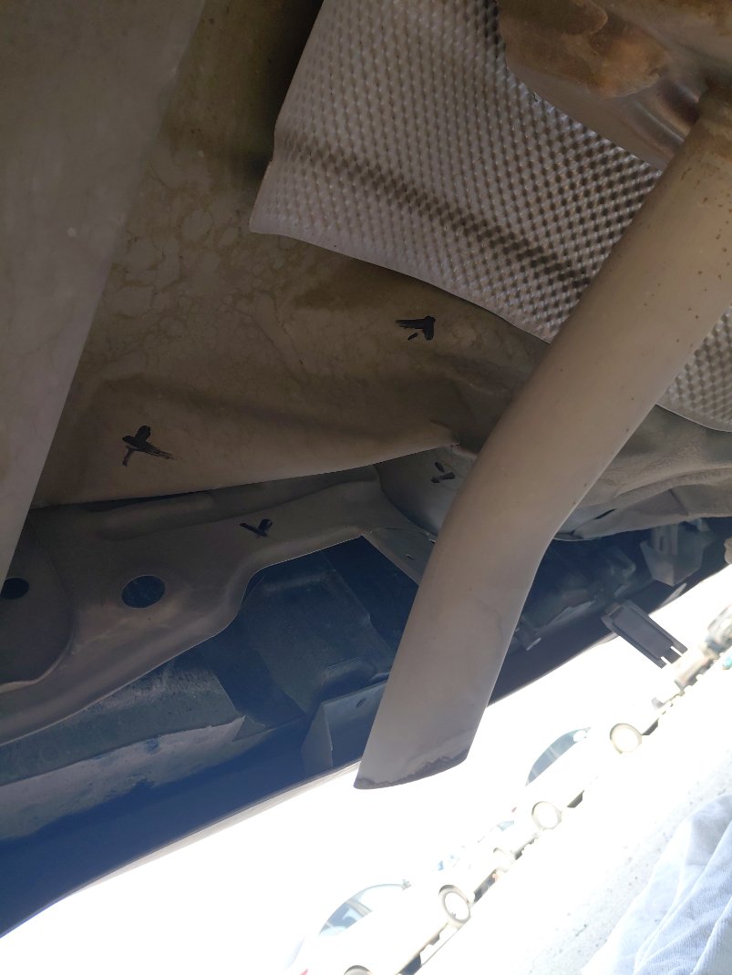 KIA Pegas GLS 2024 image