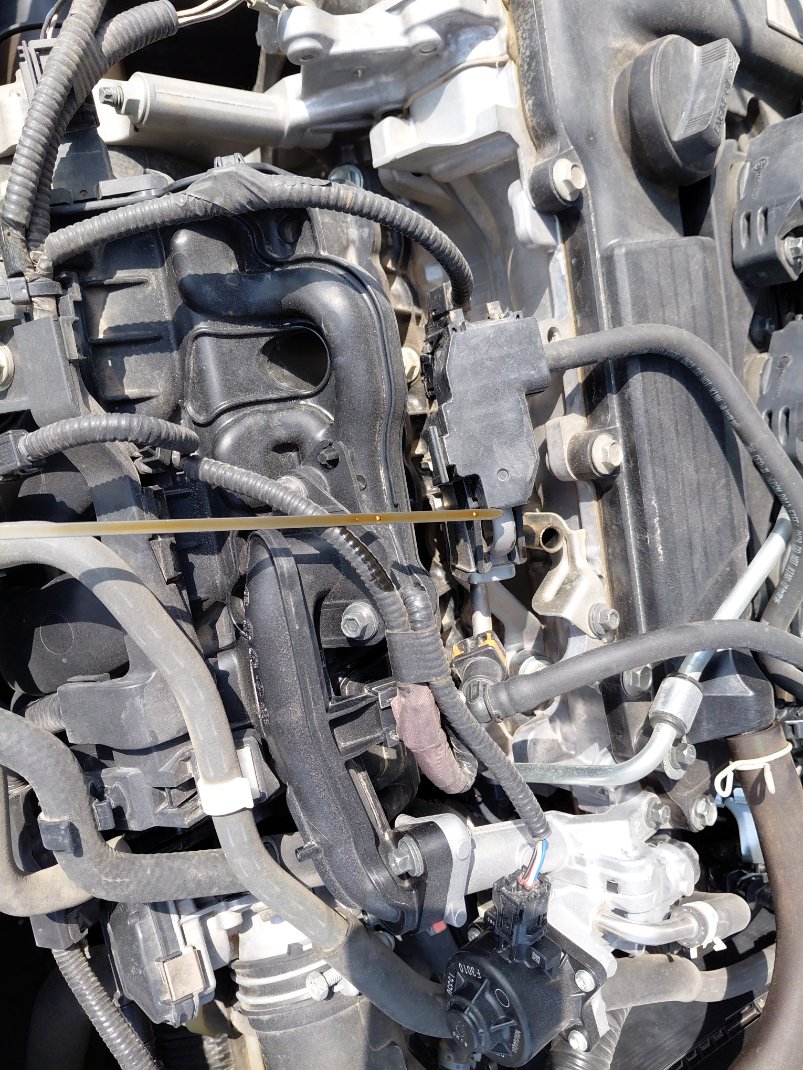 Toyota Corolla XLI 2021 image