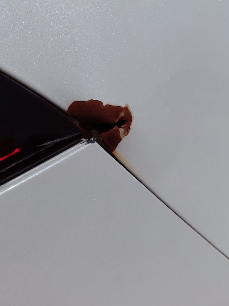 Toyota Corolla XLI EXECUTIVE M/R  2022 image