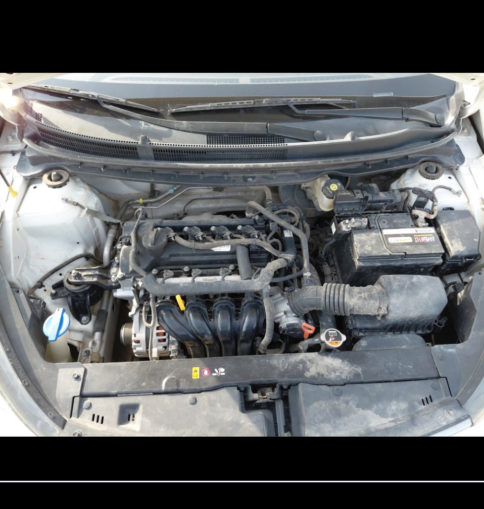 KIA Pegas LX  2020 image