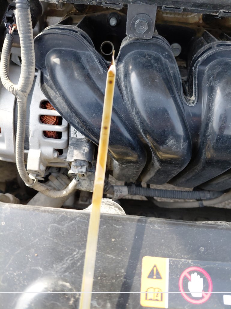 KIA Pegas LX  2020 image