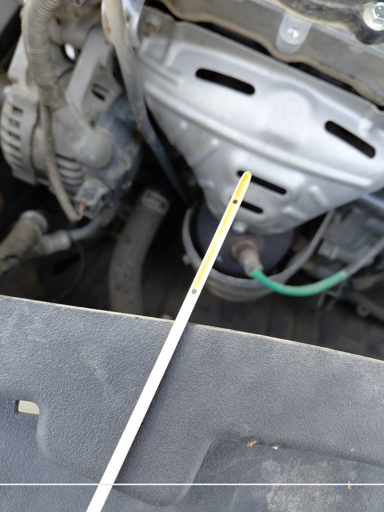 Toyota Yaris Y 2023 image