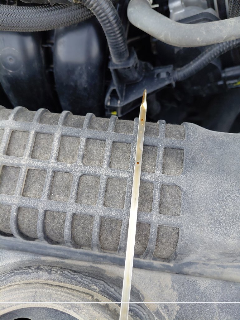 Toyota Corolla XLI EXE 2023 image