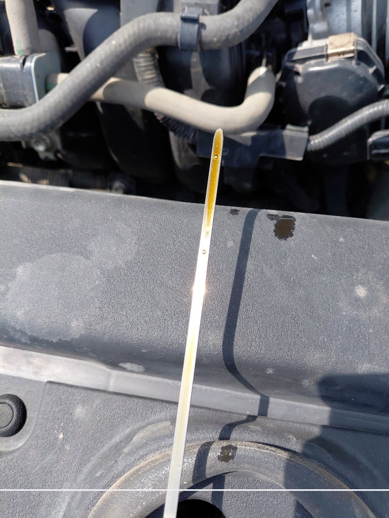 Toyota Corolla XLI 2021 image