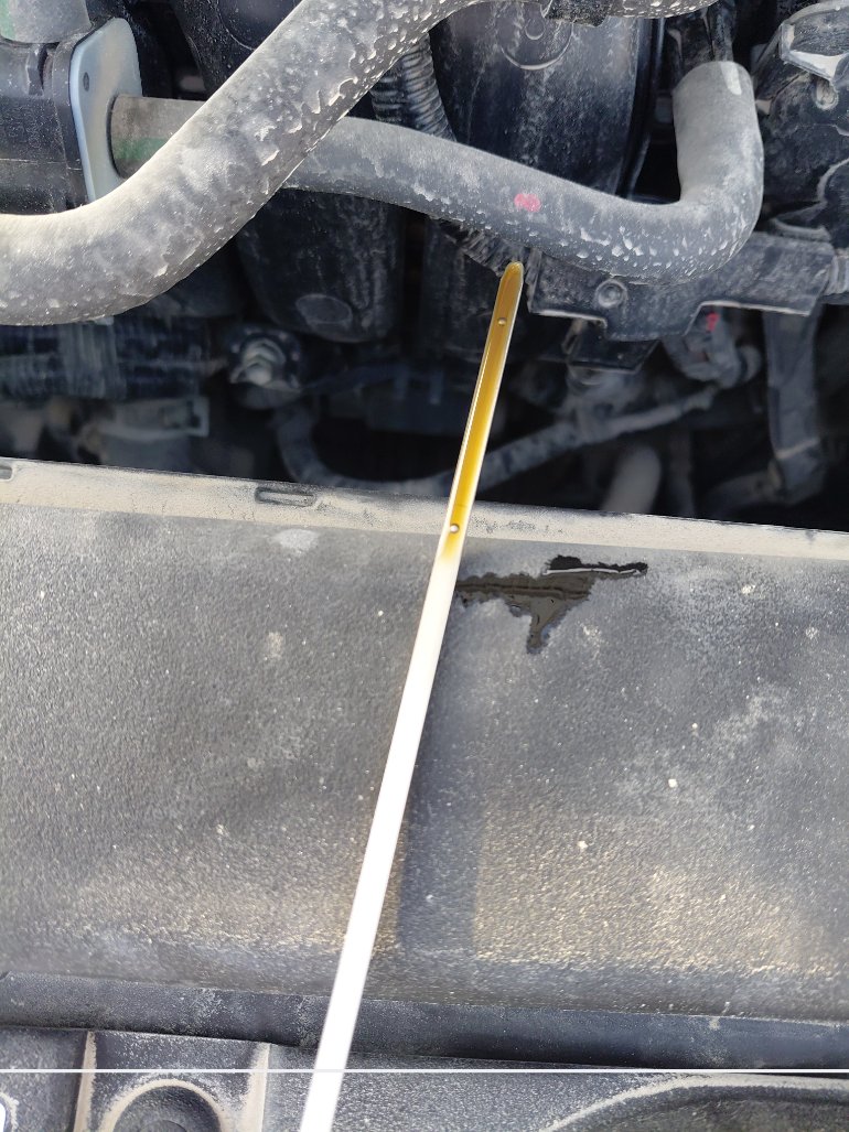 Toyota Corolla XLI 2024 image