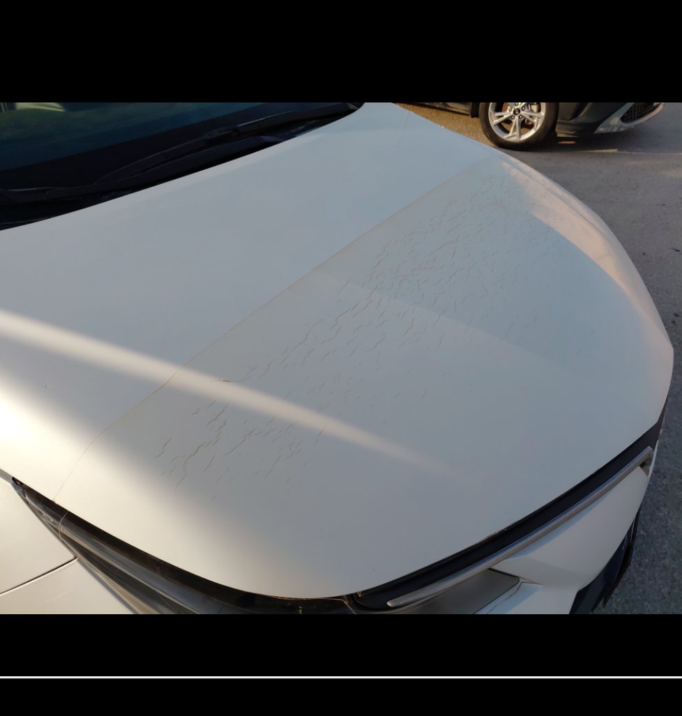 Toyota Corolla XLI 2024 image