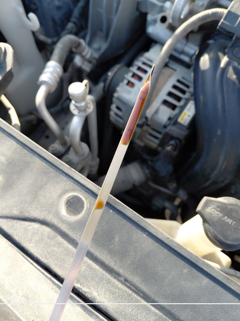 هيونداي كونا FLEET  2021 image