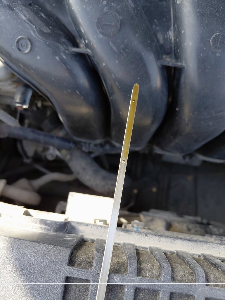 Toyota Corolla XLI 2020 image