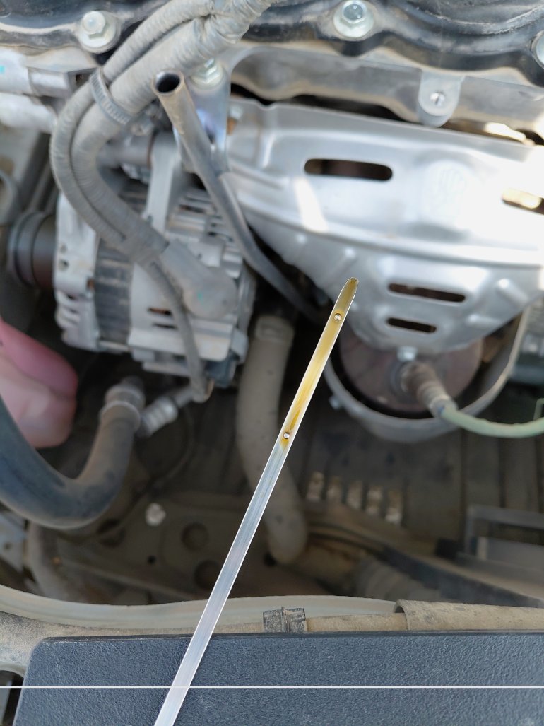 Toyota Yaris Y PLUS  2024 image