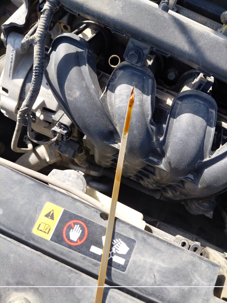 هيونداي أكسنت STD 2022 image