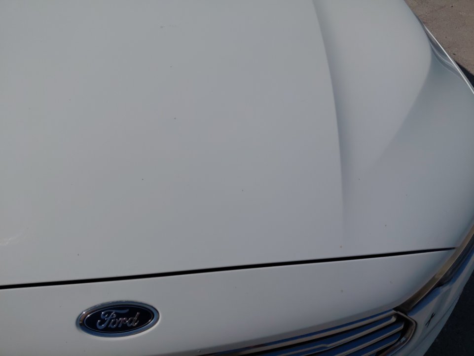 Ford Taurus FLEET 2021 image