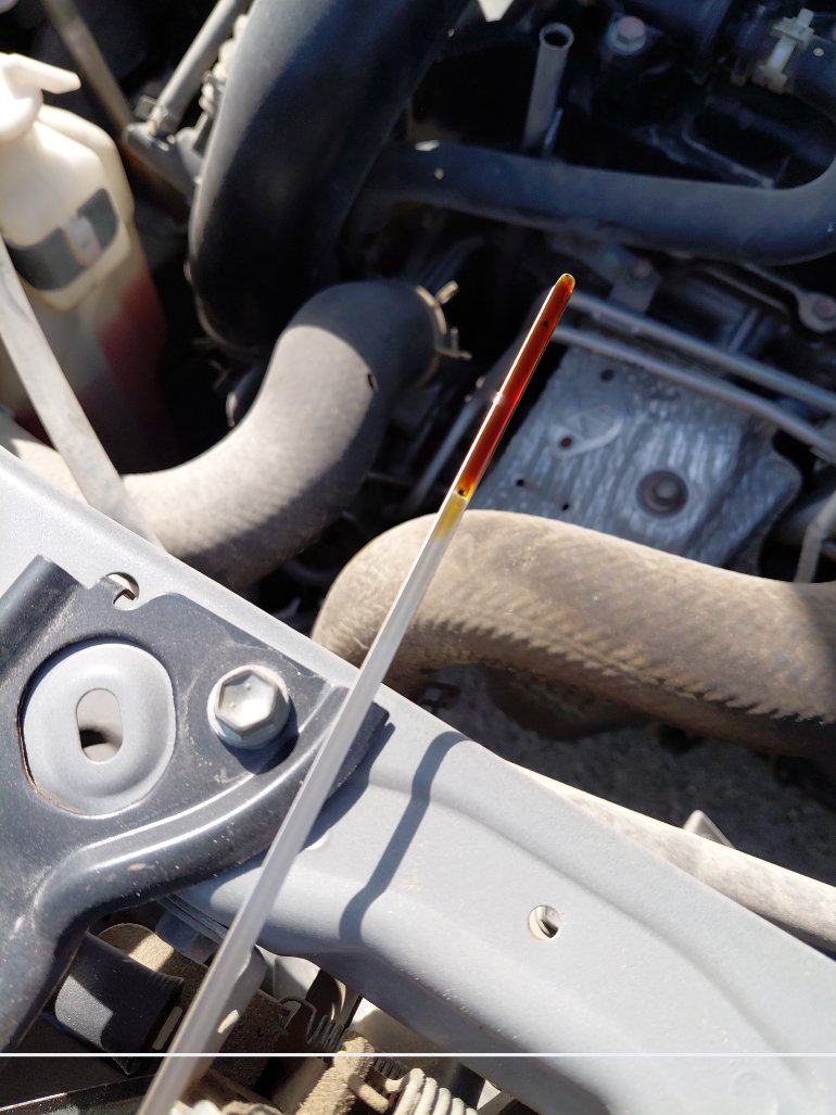 Toyota RAIZE LIMITED 2022 image