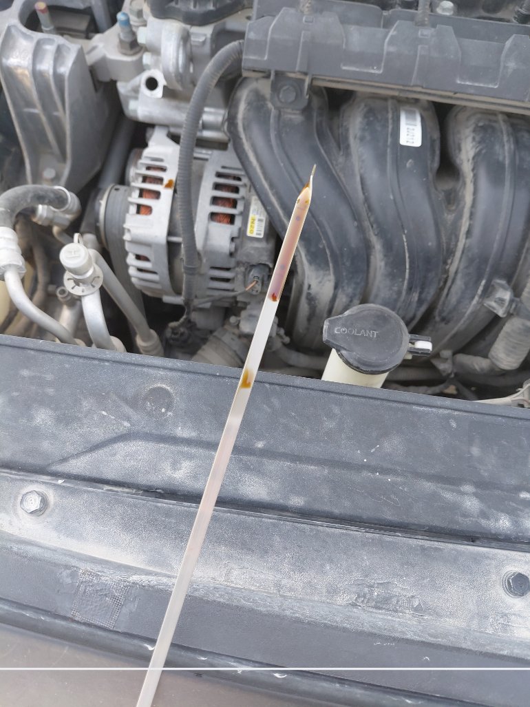 هيونداي كونا FLEET 2022 image