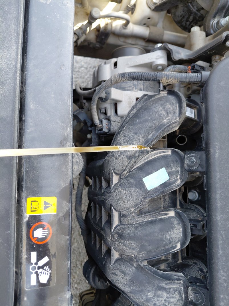 KIA Rio LX  2019 image