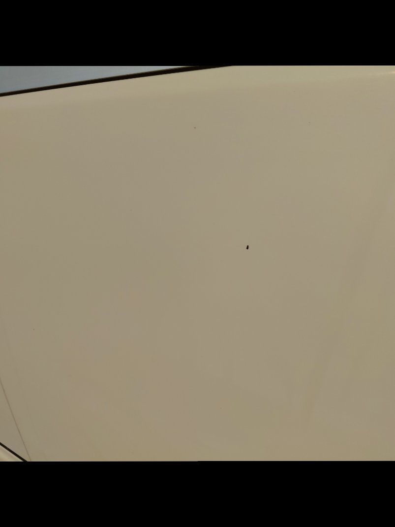 Mitsubishi Fuso  2015 image