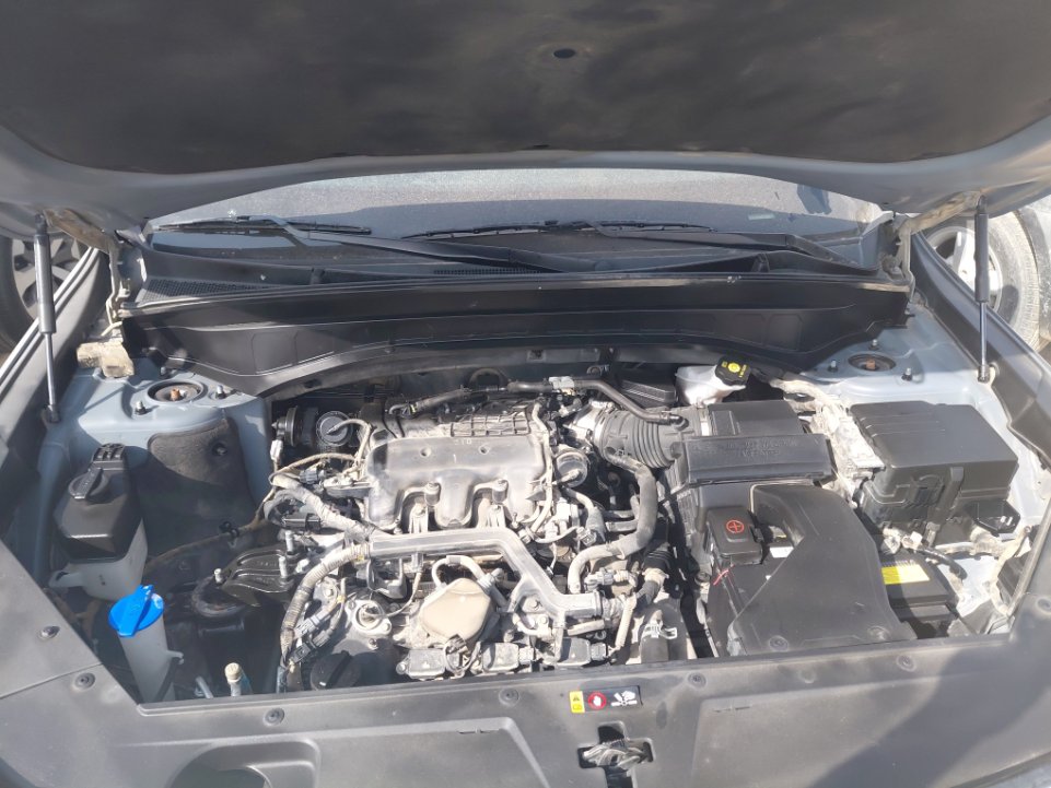 KIA Telluride EX AWD 2021 image