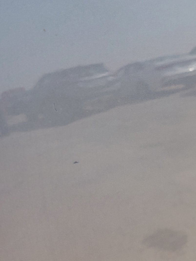 KIA Telluride EX AWD 2021 image