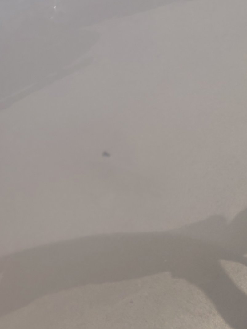 Toyota Prado  2022 image