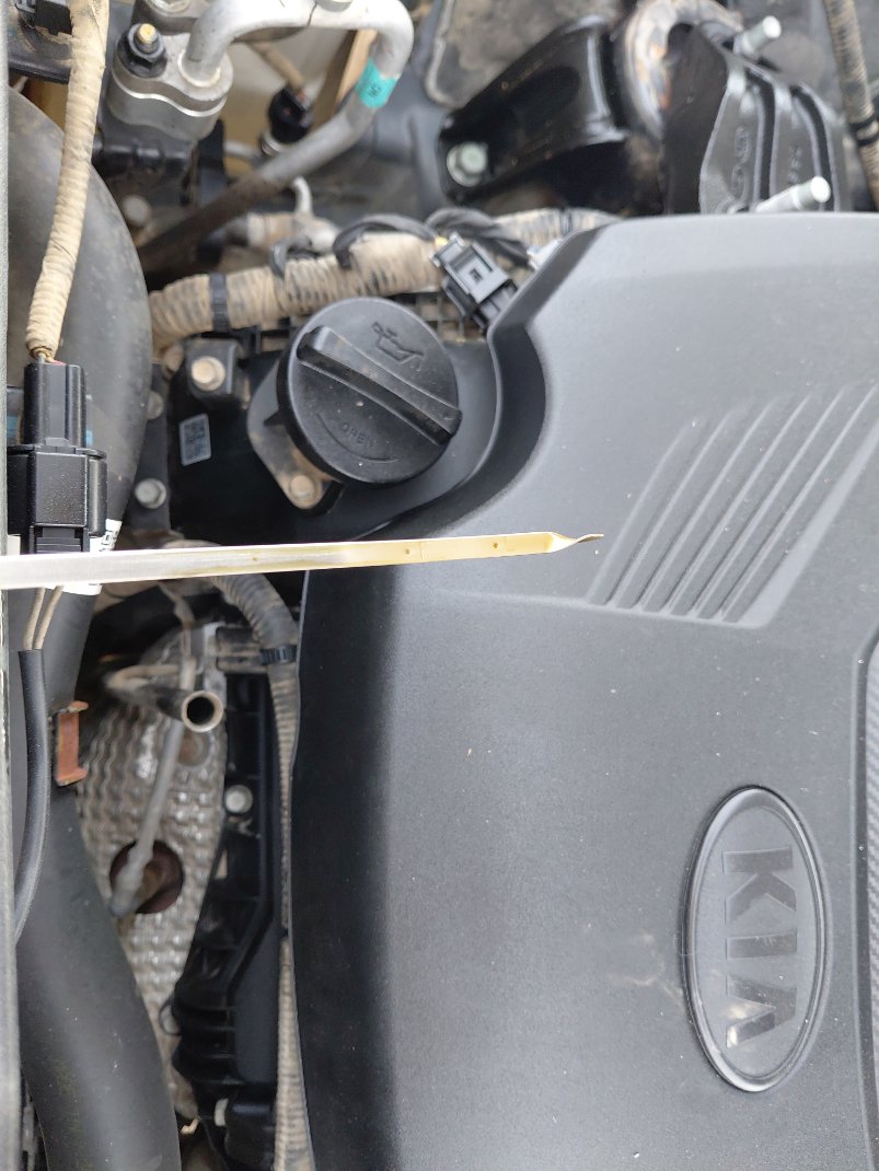 KIA Telluride EX AWD 2021 image