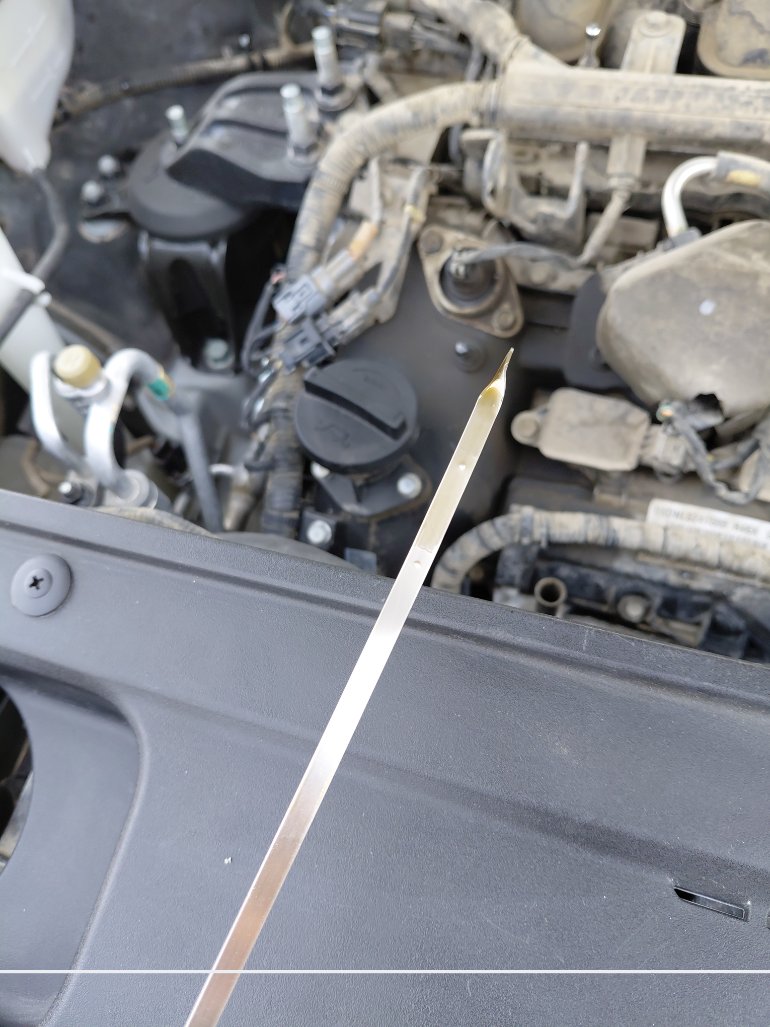 KIA Telluride EX AWD 2021 image