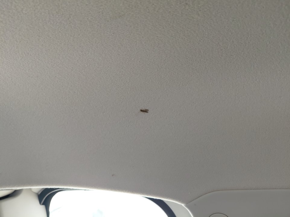 تويوتا إف جي كروزر  2023 image