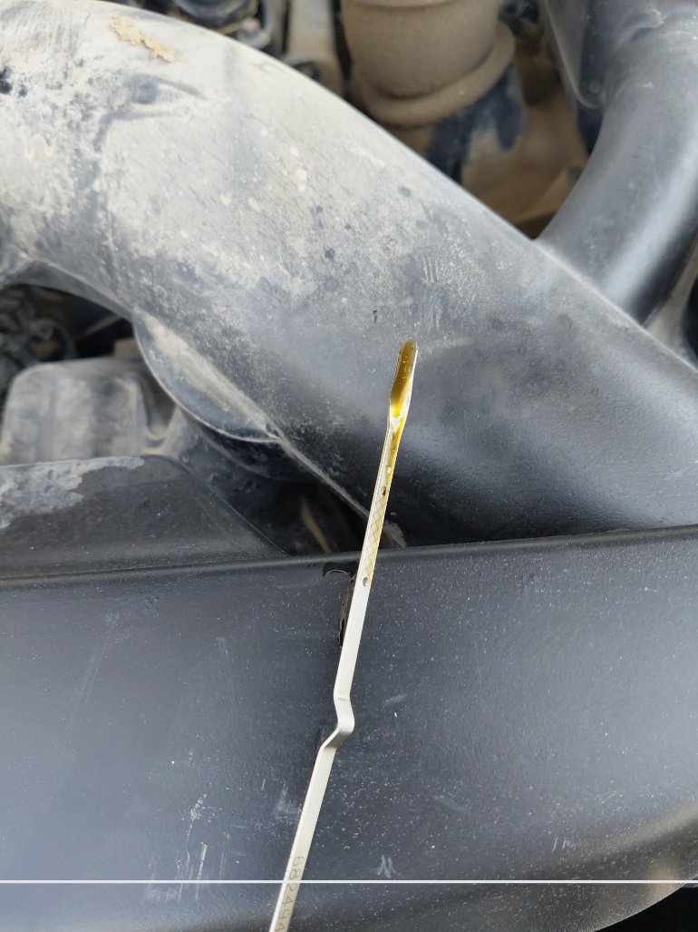 Dodge Durango  2021 image