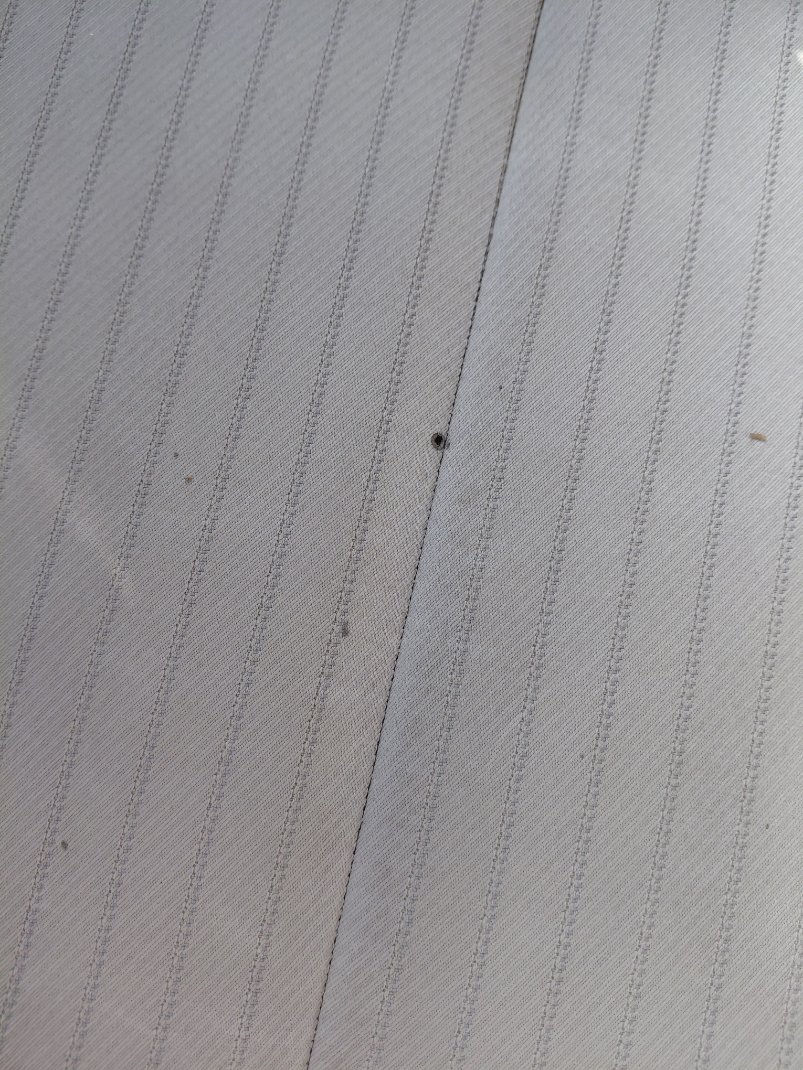 كيا تيلورايد LX AWD 2021 image