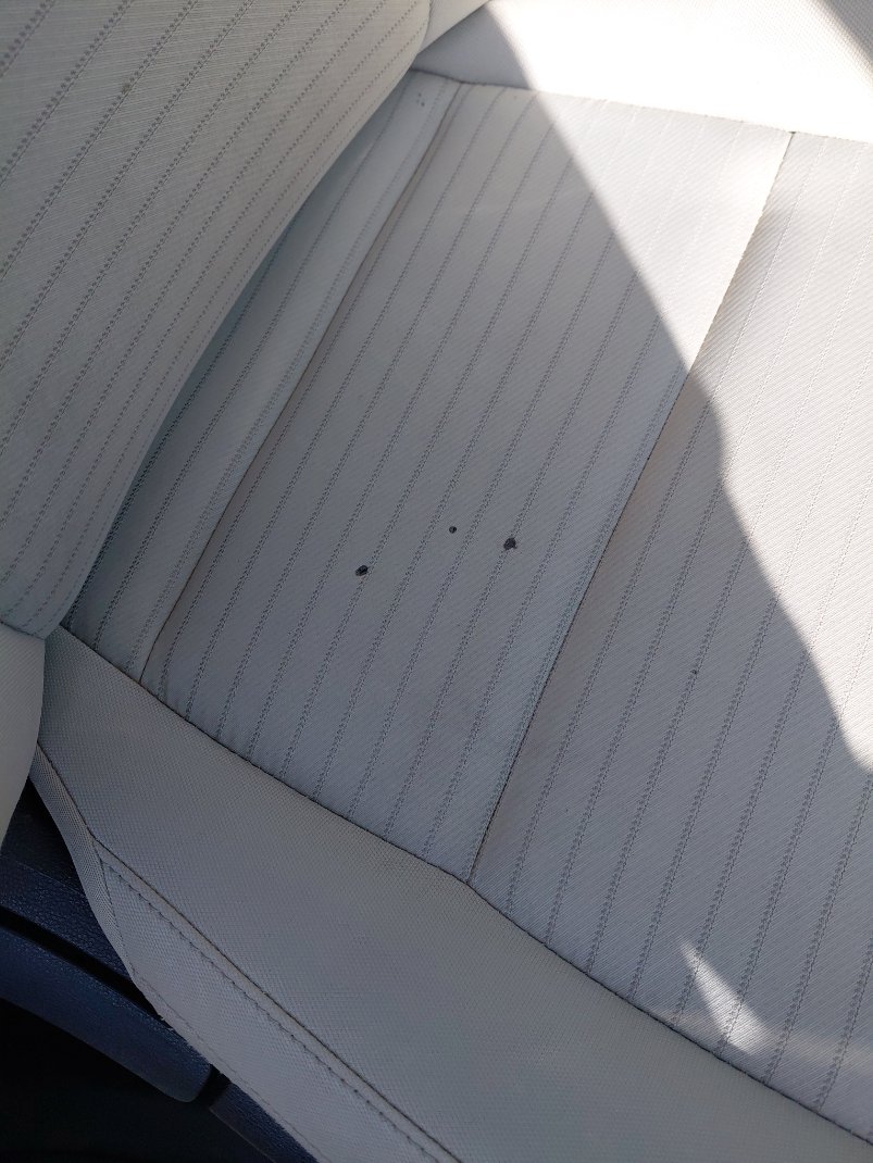 كيا تيلورايد LX AWD 2021 image