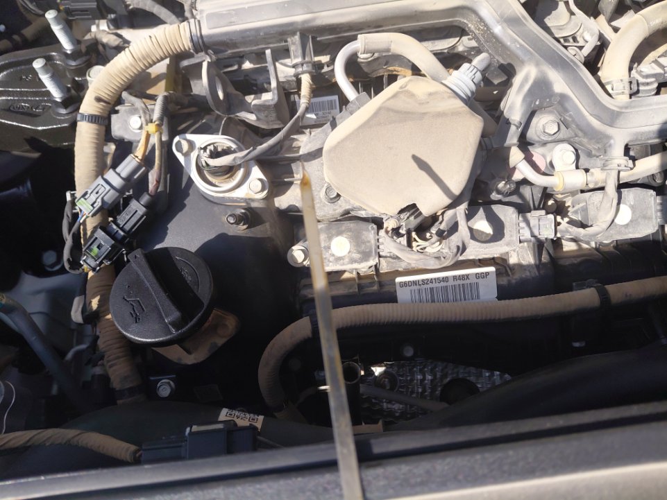 كيا تيلورايد LX AWD 2021 image