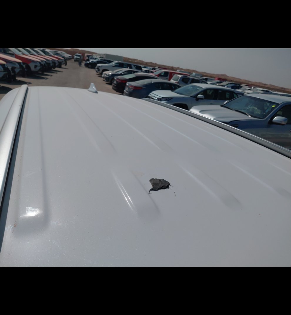 كيا تيلورايد LX AWD 2021 image