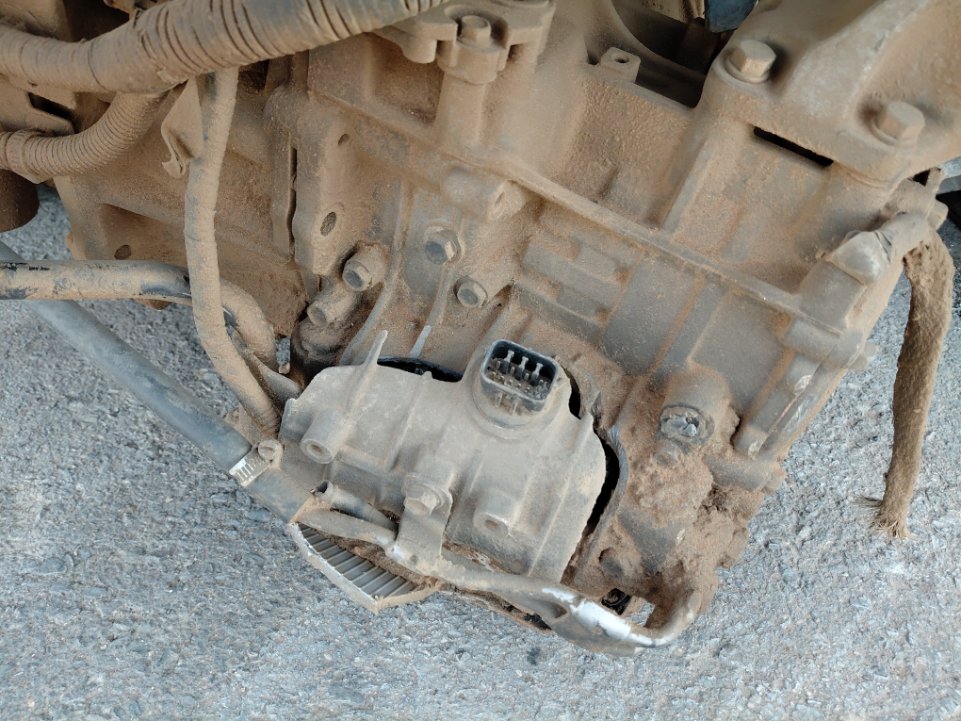 KIA Pegas LX 2020 image