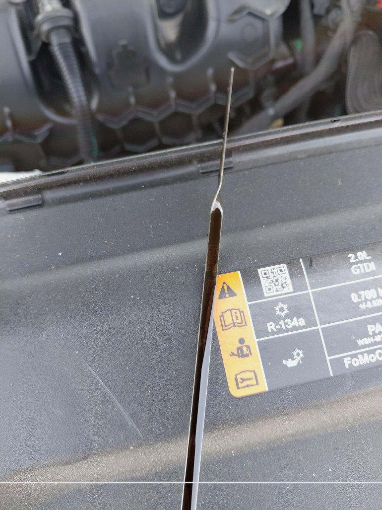 فورد توروس  2020 image