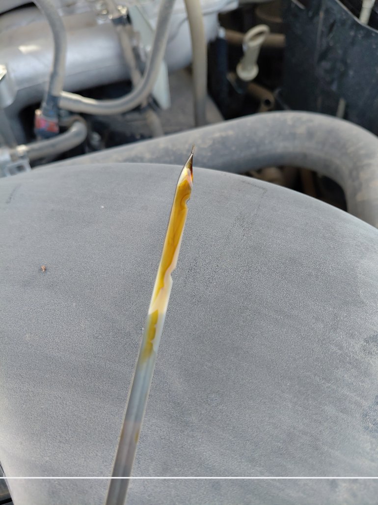 ميتسوبيشي باجيرو  2020 image