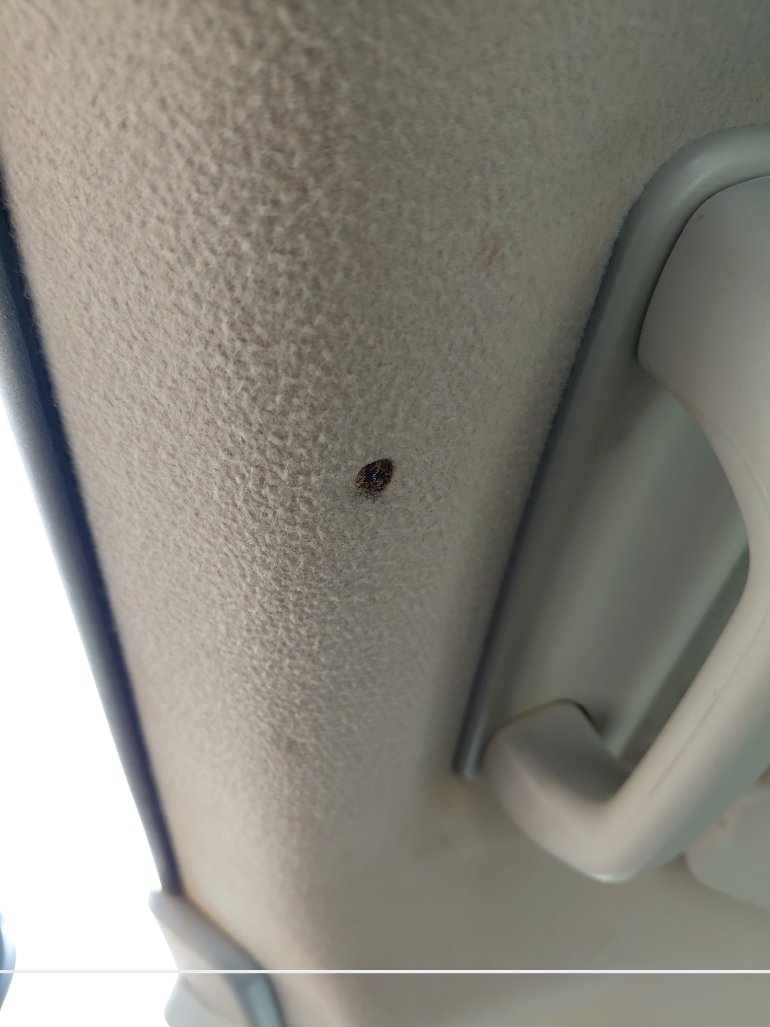 Toyota FJ Cruiser  2022 image