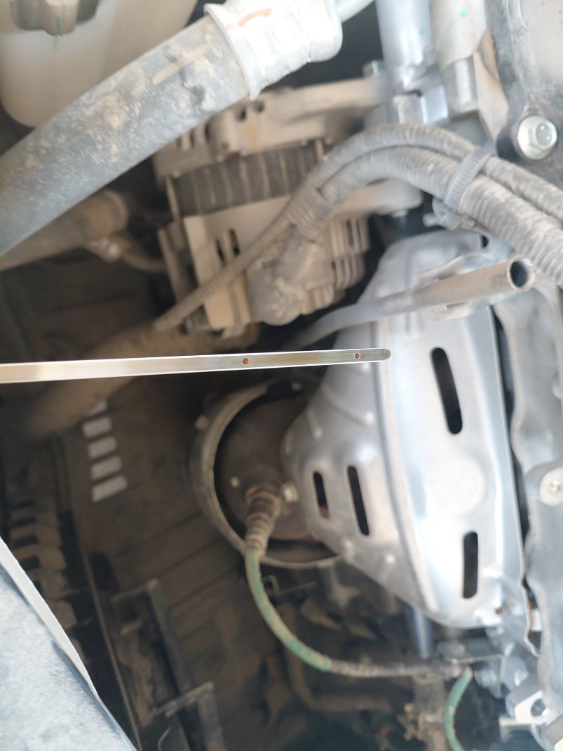 Toyota Yaris Y PLUS 2024 image