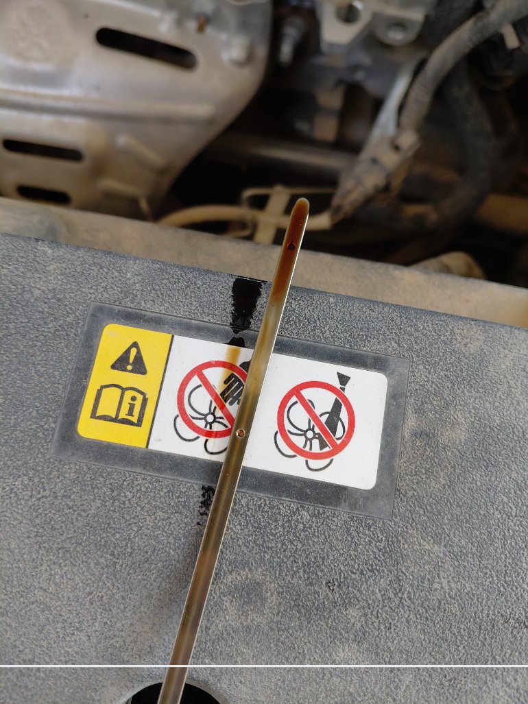 Toyota Yaris Y PLUS 2022 image