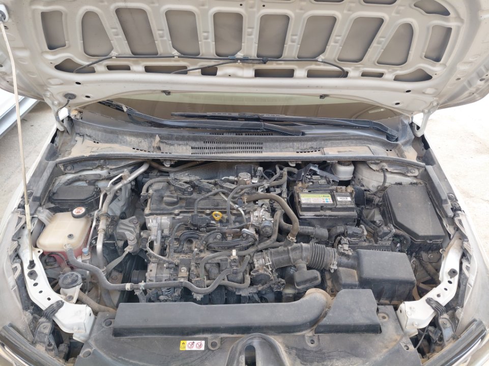 Toyota Corolla XLI EXECUTIVE M/R  2021 image