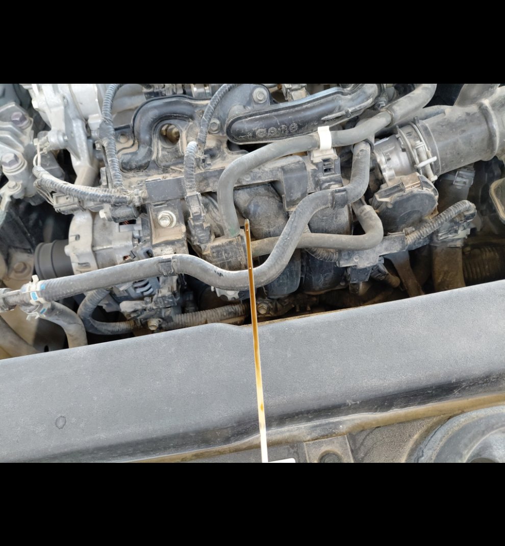 Toyota Corolla XLI EXECUTIVE M/R  2021 image