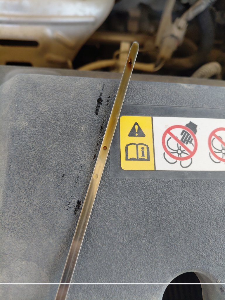 Toyota Yaris Y FLT 2020 image