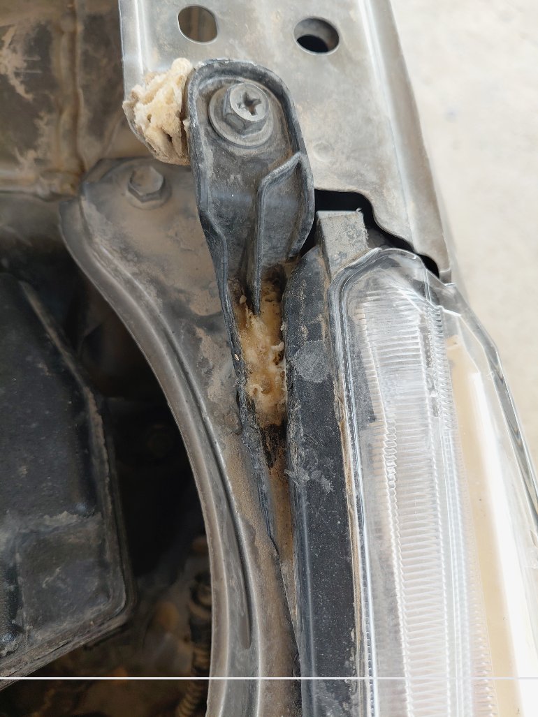 Toyota Yaris Y FLT  2020 image