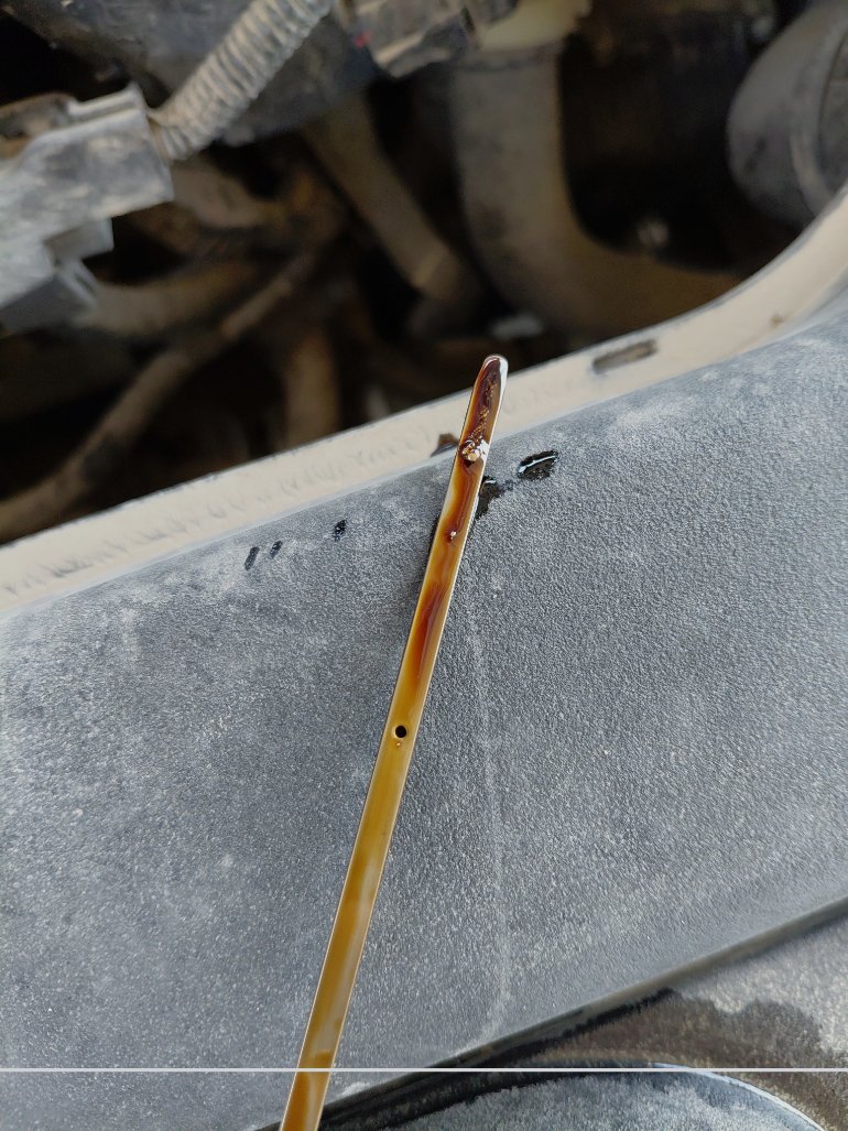 Toyota Corolla XLI EXECUTIVE 2022 image