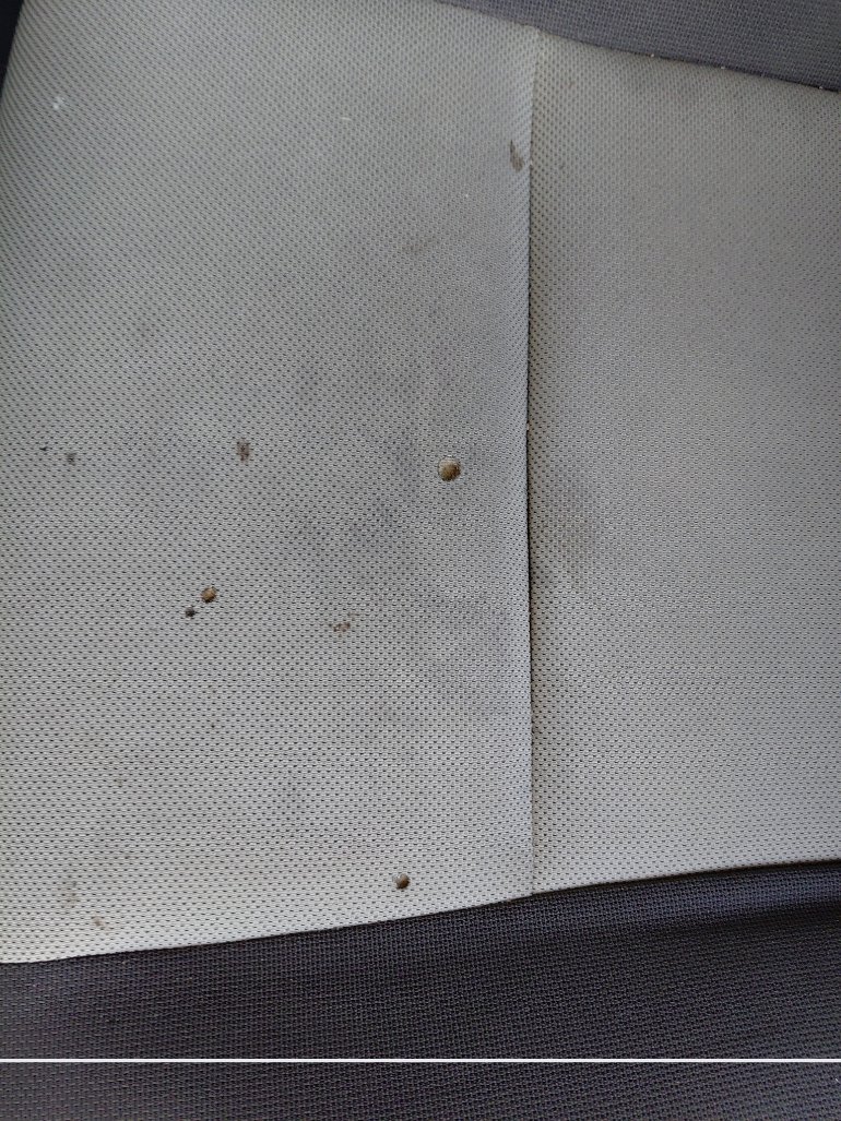 Toyota Corolla XLI EXECUTIVE 2022 image