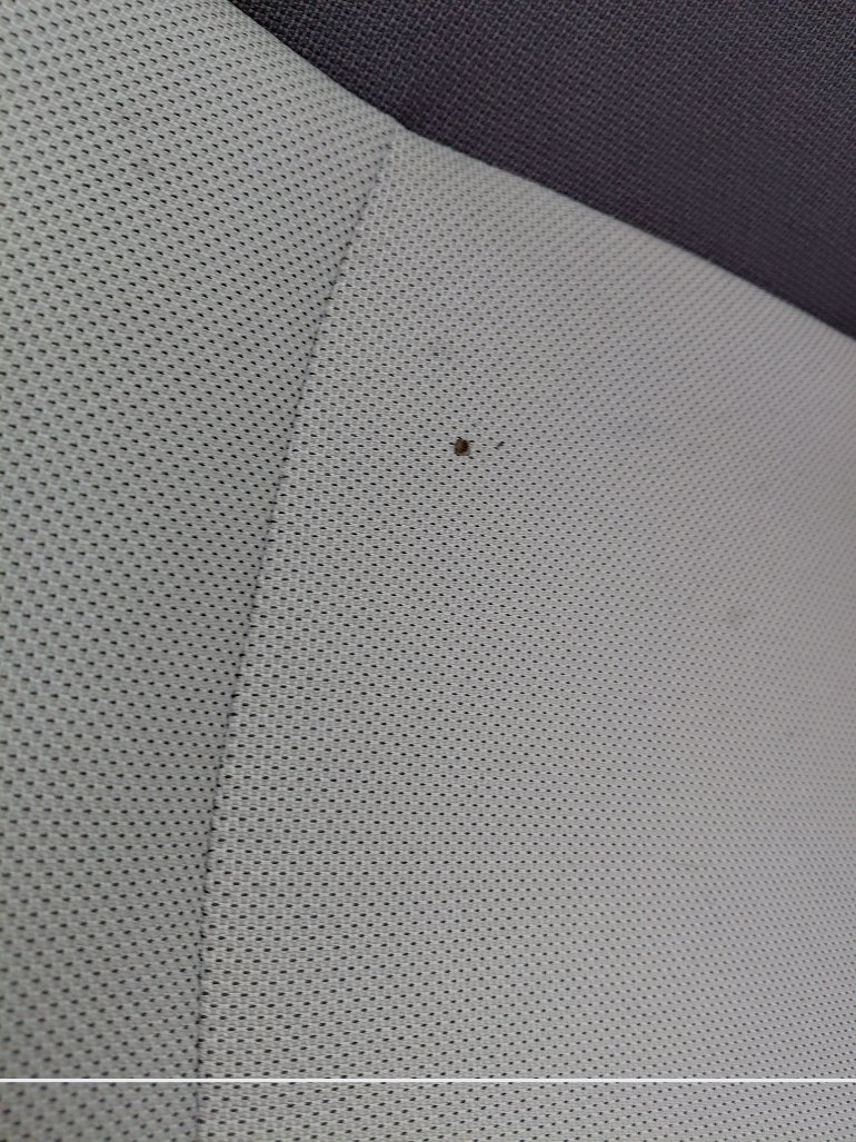 Toyota Corolla XLI EXECUTIVE 2022 image