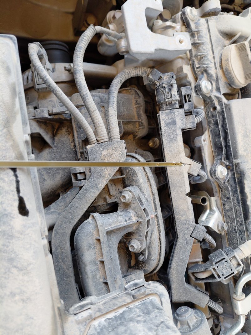 Toyota RAV4 XLE  2022 image