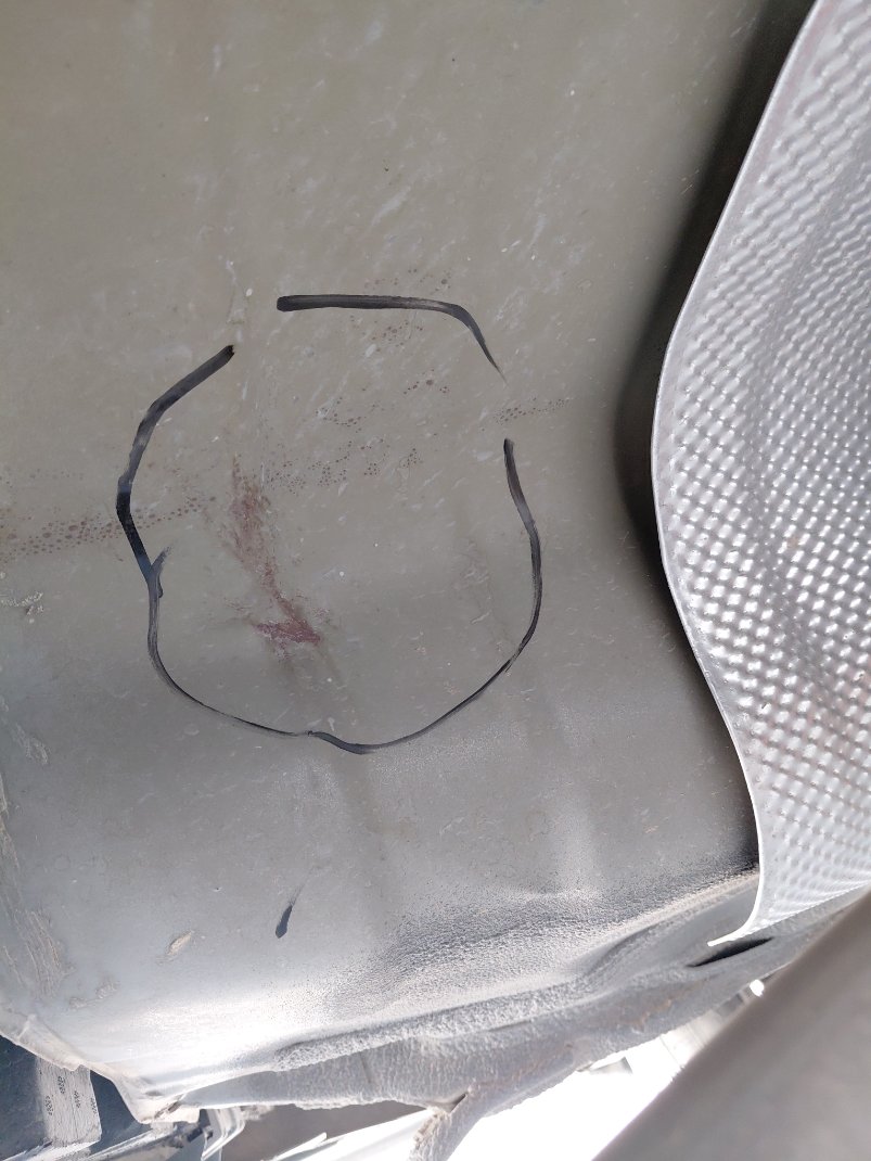 KIA Pegas LX 2022 image