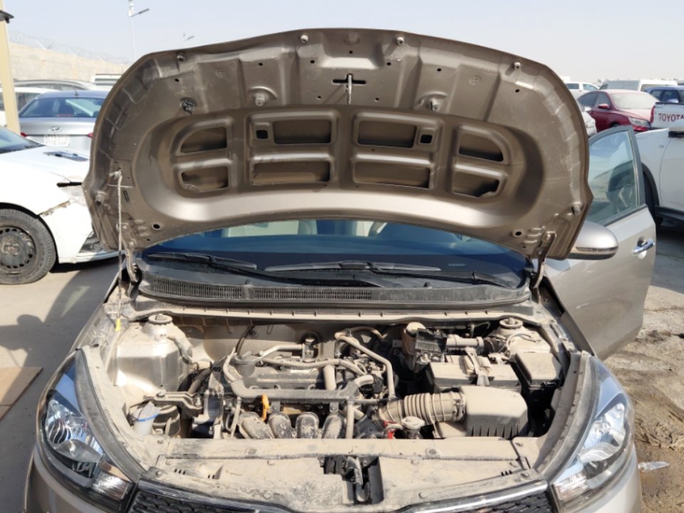 KIA Pegas LX 2022 image