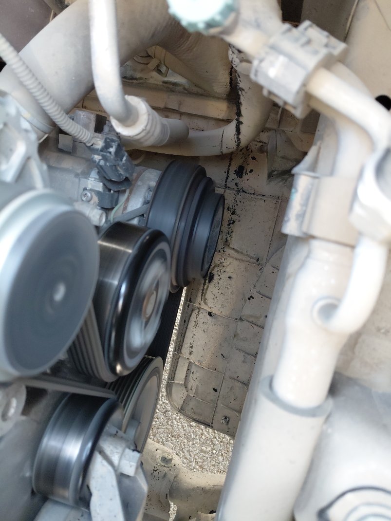 KIA Pegas LX 2022 image