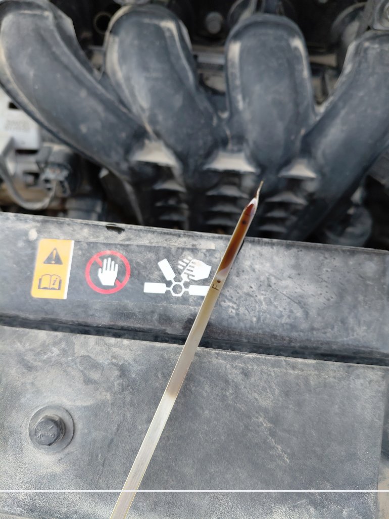 هيونداي أكسنت GL 2022 image