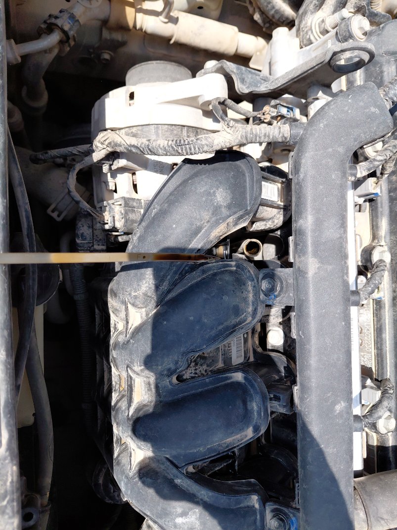 هيونداي أكسنت FLEET 2022 image